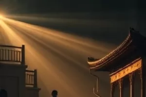 剧集风起南岸横版封面，海岸防风林与低云